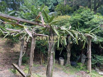 大同路, 龜山區, 桃園市 333, 台灣