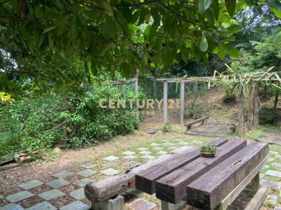 大同路, 龜山區, 桃園市 333, 台灣