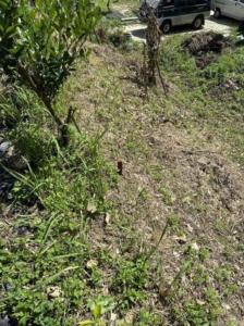 新英, Miaoli, Miaoli County 360, Tajwan