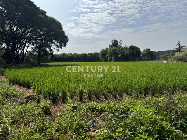 高上段, 楊梅區, Đào Viên 326, Đài Loan