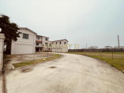 聖德北路, 大園區, Taoyuan 337, Taiwan