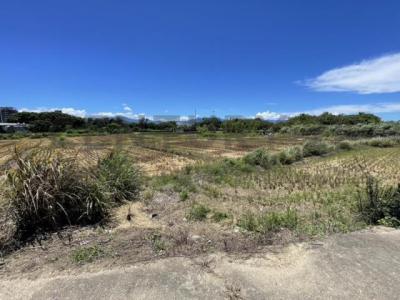 廣福段, 大溪區, 타오 위엔 335, 대만