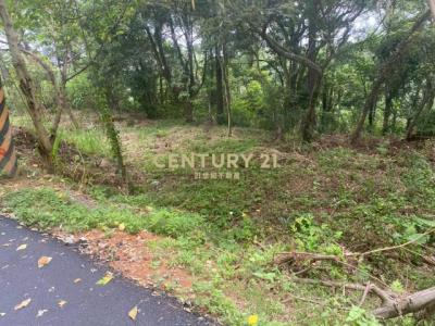 大東坑, Guanxi Township, Hsinchu County 306, Taiwan