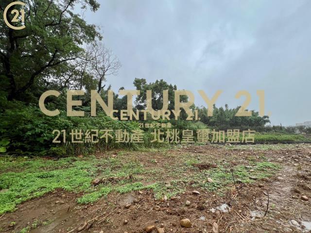 尖山堆段, Yingge Dist., New Taipei 239, Tayvan