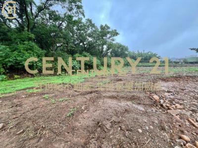 尖山堆段, Yingge Dist., New Taipei 239, Tayvan