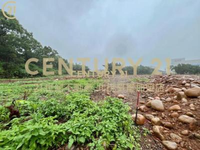 尖山堆段, Yingge Dist., New Taipei 239, Tayvan