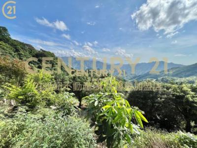 插角段外插角小段, Sanxia Dist., Nueva Taipei 237, Taiwán