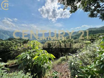 插角段外插角小段, Sanxia Dist., Nueva Taipei 237, Taiwán