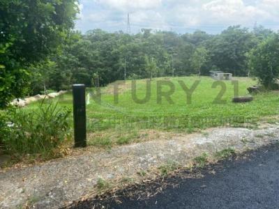 大旱坑段, Guanxi Township, Hsinchu County 306, 대만