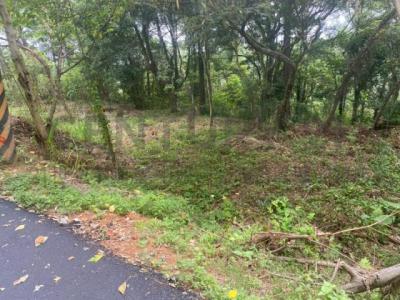 大旱坑段, Guanxi Township, Hsinchu County 306, 대만