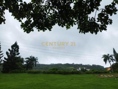 尖山堆段, Yingge Dist., New Taipei City 239, Taiwan