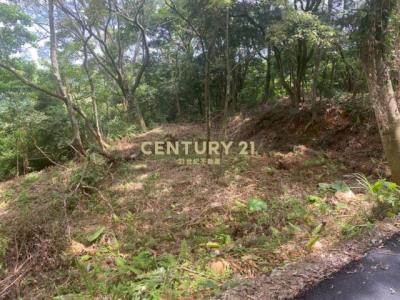 大旱坑段大東坑小段, Guanxi Township, Hsinchu County 306, Taiwan