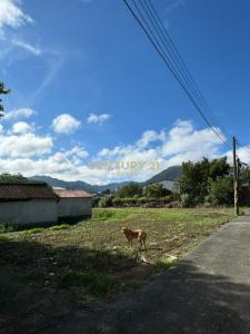 紅橋段, 龍潭區, Taoyuan 325, Taïwan