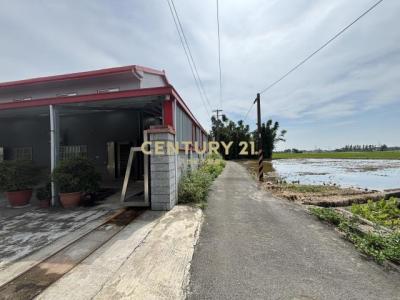 中興路, 新屋區, Taoyuan City 327, Taiwan