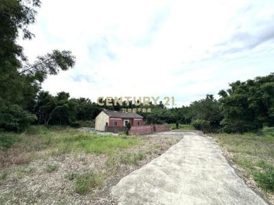 大坡段大坡小段, 新屋區, Taoyuan City 327, Taiwan