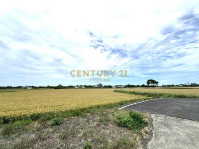 大坡段大坡小段, 新屋區, Taoyuan City 327, Taiwan