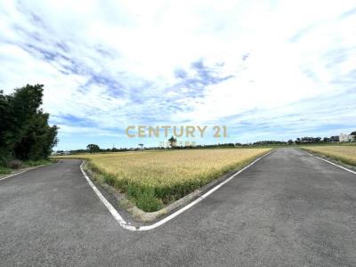 大坡段大坡小段, 新屋區, Taoyuan City 327, Taiwan