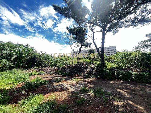 長岡嶺段, 楊梅區, Taoyuan 326, Taïwan