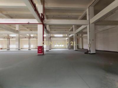 泰圳路, 楊梅區, Taoyuan City 326, Taiwan