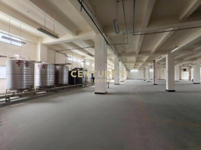 泰圳路, 楊梅區, Taoyuan City 326, Taiwan