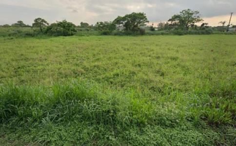 福祥路一段, 觀音區, تاويوان مدينة 328, تايوان