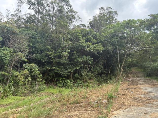 梅獅路二段, 楊梅區, Taoyuan 326, Taiwan