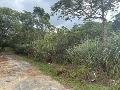 梅獅路二段, 楊梅區, Taoyuan 326, Taiwan