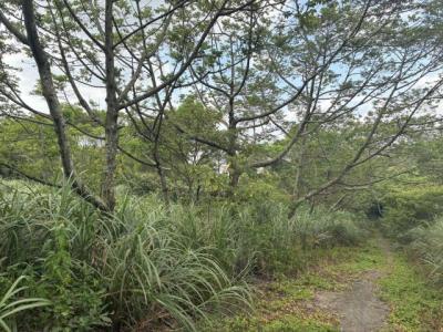 梅獅路二段, 楊梅區, Taoyuan 326, Taiwan