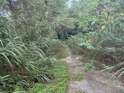 梅獅路二段, 楊梅區, Taoyuan 326, Taiwan