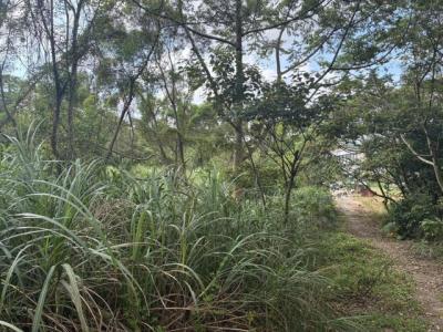 梅獅路二段, 楊梅區, Taoyuan 326, Taiwan