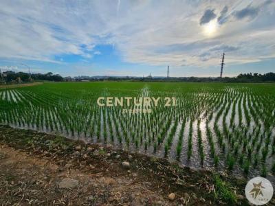 福林段, 平鎮區, Taoyuan 324, Taiwan