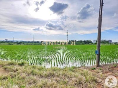 福林段, 平鎮區, Taoyuan 324, Taiwan