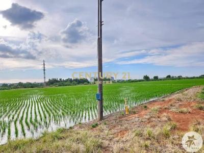 福林段, 平鎮區, Taoyuan 324, Taiwan