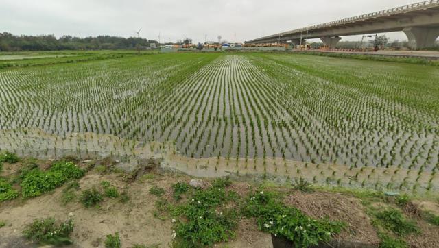 濱海路永興段, 新屋區, Taoyuan 327, Taiwán