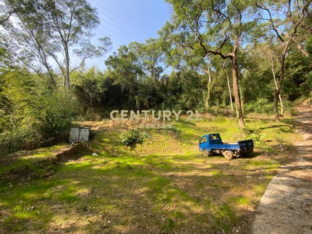 曲洞段, Touwu Township, Miaoli County 362, Đài Loan