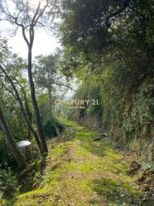 曲洞段, Touwu Township, Miaoli County 362, Đài Loan