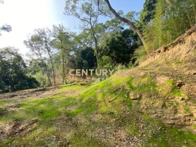 曲洞段, Touwu Township, Miaoli County 362, Đài Loan