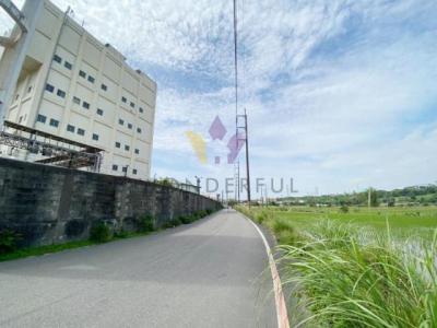 東隆段, 大溪區, 타오 위엔 335, 대만