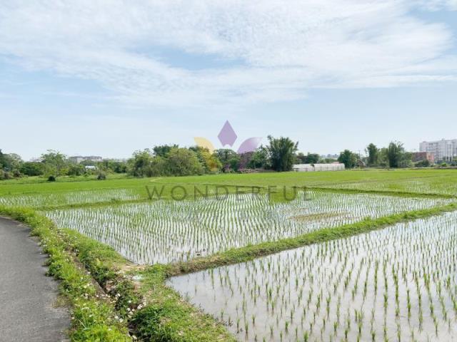 東隆段, 大溪區, 桃园 335, 台湾