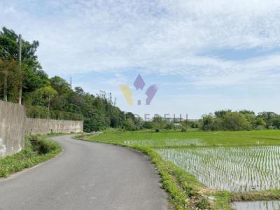 東隆段, 大溪區, 桃园 335, 台湾