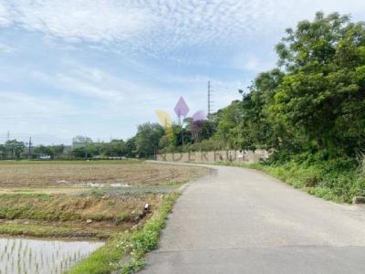 東隆段, 大溪區, 桃园 335, 台湾