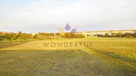 興崙段, 中壢區, Taoyuan City 320, Taiwan