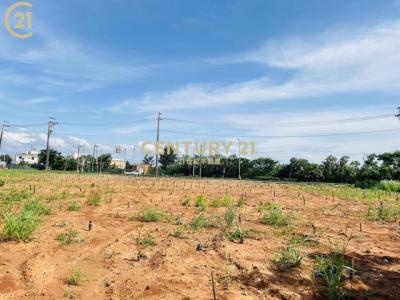 大潭段塘背小段, 觀音區, Taoyuan 328, Taiwan