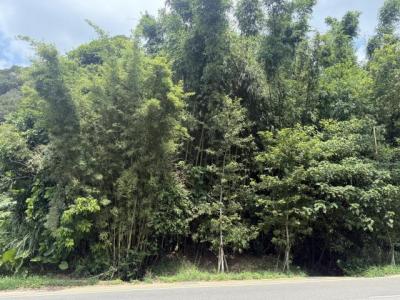 北宜路四段, Shiding Dist., New Taipei City 223, Taiwan