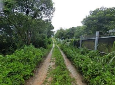 光峯路, 龜山區, טאו - יואן העיר 333, טיוואן