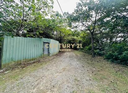 塔寮坑段, 龜山區, 桃園市 333, 台灣