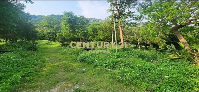 北安段, Hukou Township, Hsinchu County 303, Taiwan