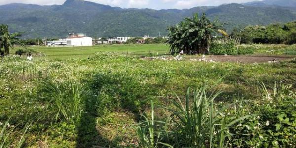 中崙段, Тоучэн, Илань 261, Тайвань