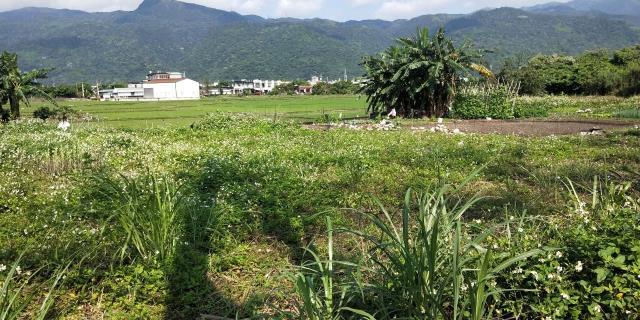 中崙段, Тоучэн, Илань 261, Тайвань