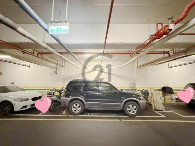 立信三街, Xinzhuang Dist., Tân Bắc 242, Đài Loan